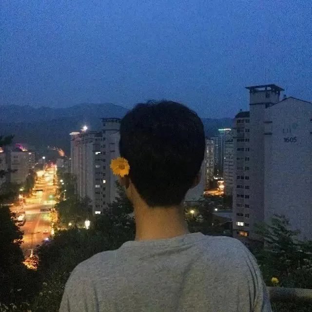 马坚菲维